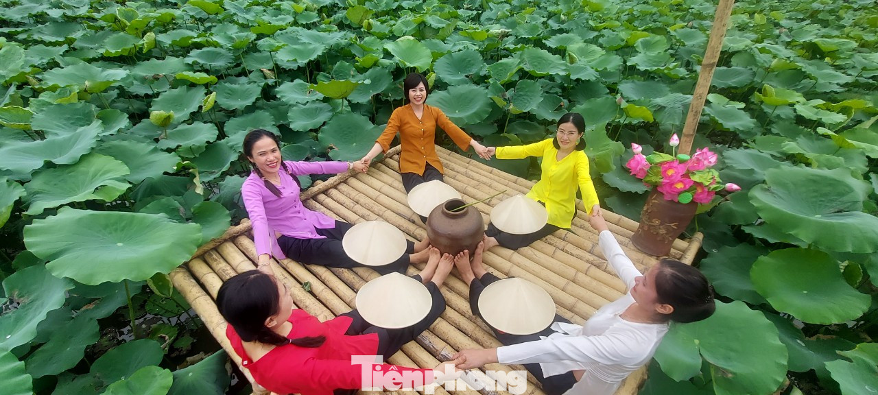 Đầm sen thanh niên thu hút nhiều lượt khách đến tham quan, chụp ảnh.