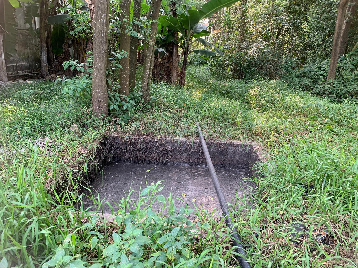 Hố rộng chừng 4m được chủ trang trại nói dùng để tách phân khô.