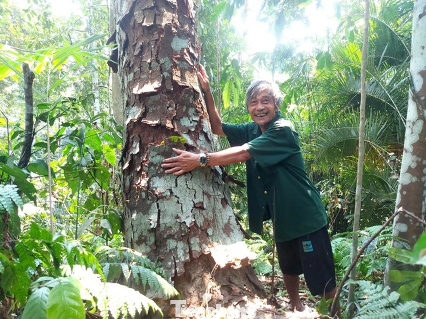 Ông Trần Ngọc Lâm bên cây cổ thụ.
