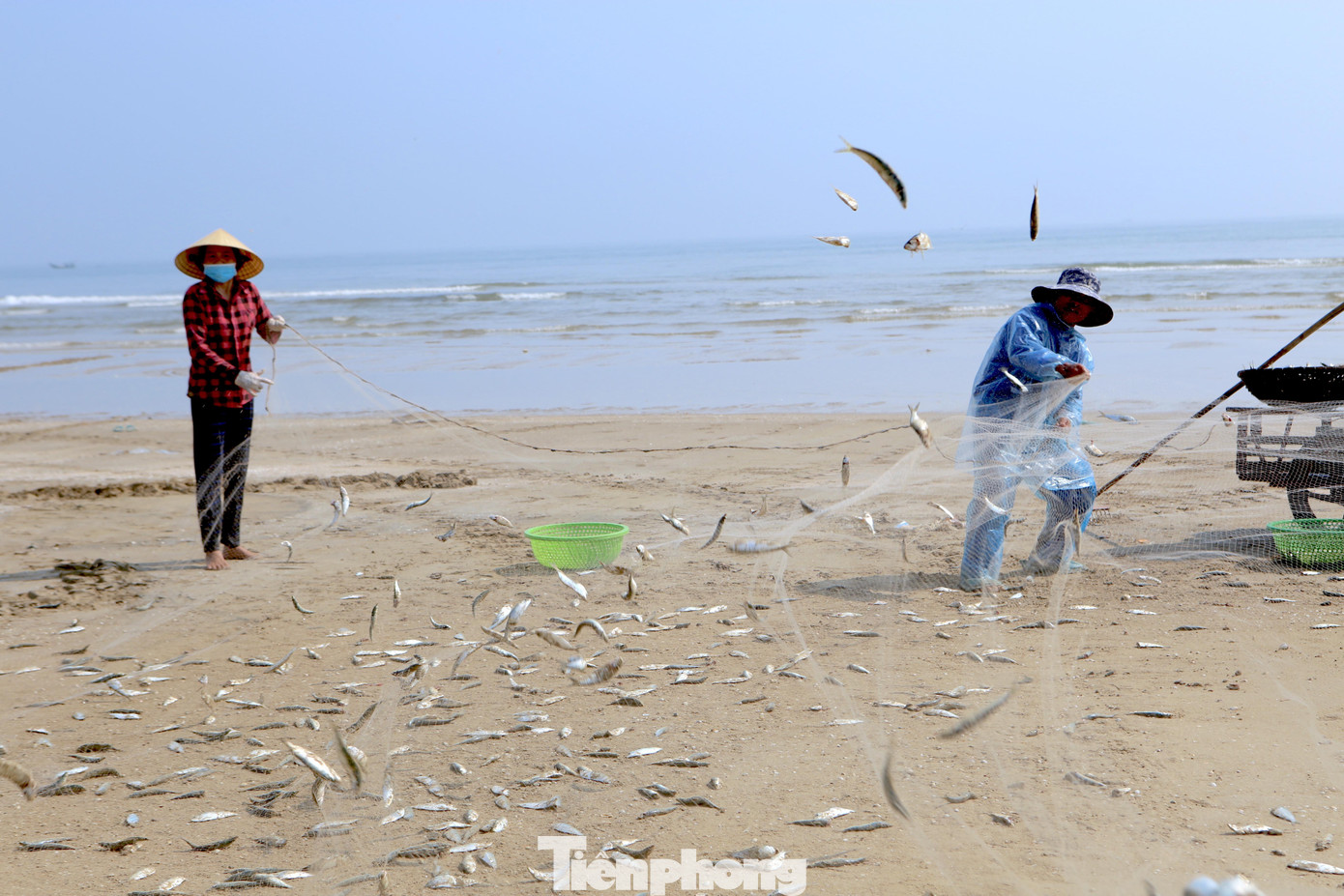 Thuyền của ngư dân Trần Văn Đồng (trú xã Thạch Văn) hôm nay được khoảng hơn khoảng 2 tạ cá trích. Sau khi thuyền được đưa vào bờ, mọi người trong gia đình cùng đến hỗ trợ gỡ lưới cá lên để bán cho thương lái. Thuyền của ngư dân Trần Văn Đồng (trú xã Thạch Văn) hôm nay được khoảng hơn khoảng 2 tạ cá trích. Sau khi thuyền được đưa vào bờ, mọi người trong gia đình cùng đến hỗ trợ gỡ lưới cá lên để bán cho thương lái.