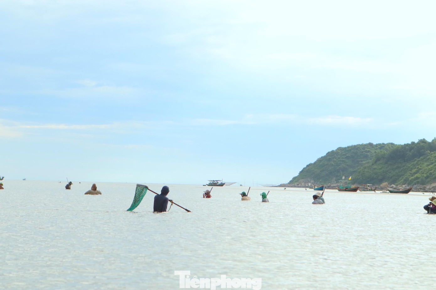 Những ngày qua, người dân gần ven biển xã Thạch Kim (huyện Lộc Hà, tỉnh Hà Tĩnh) đem đồ nghề ra biển để cào sò lông mang bán.