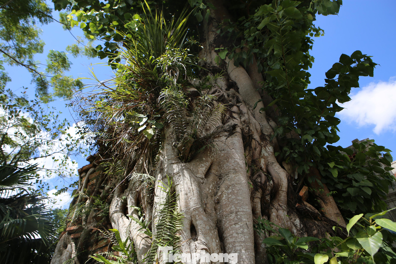 Đền và tháp am gợi lại sự tích Phan Thị 'Á Thần Nhân', người tuẫn tiết theo chồng khi ông lâm trọng bệnh qua đời sau chuyến đi sứ phương Bắc dưới thời nhà Lê.