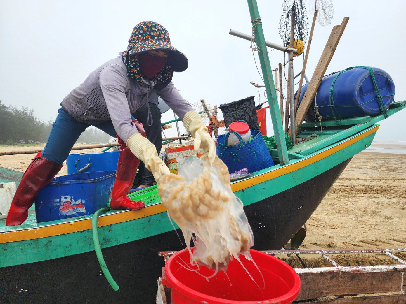 Sứa sau khi được xử lý cắt, phân loại, sơ chế ban đầu, rửa sạch qua nước biển.