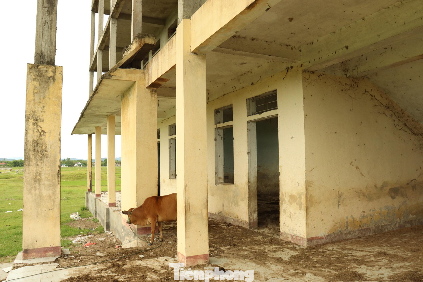 Dự án được xây dựng với tổng diện tích 34.000 m2, toạ lạc cạnh đường QL 15B, xã Việt Tiến. Sau 2 năm tiến hành xây dựng, dãy nhà 4 tầng đã xây xong phần thô với kinh phí khoảng 4 tỷ đồng.