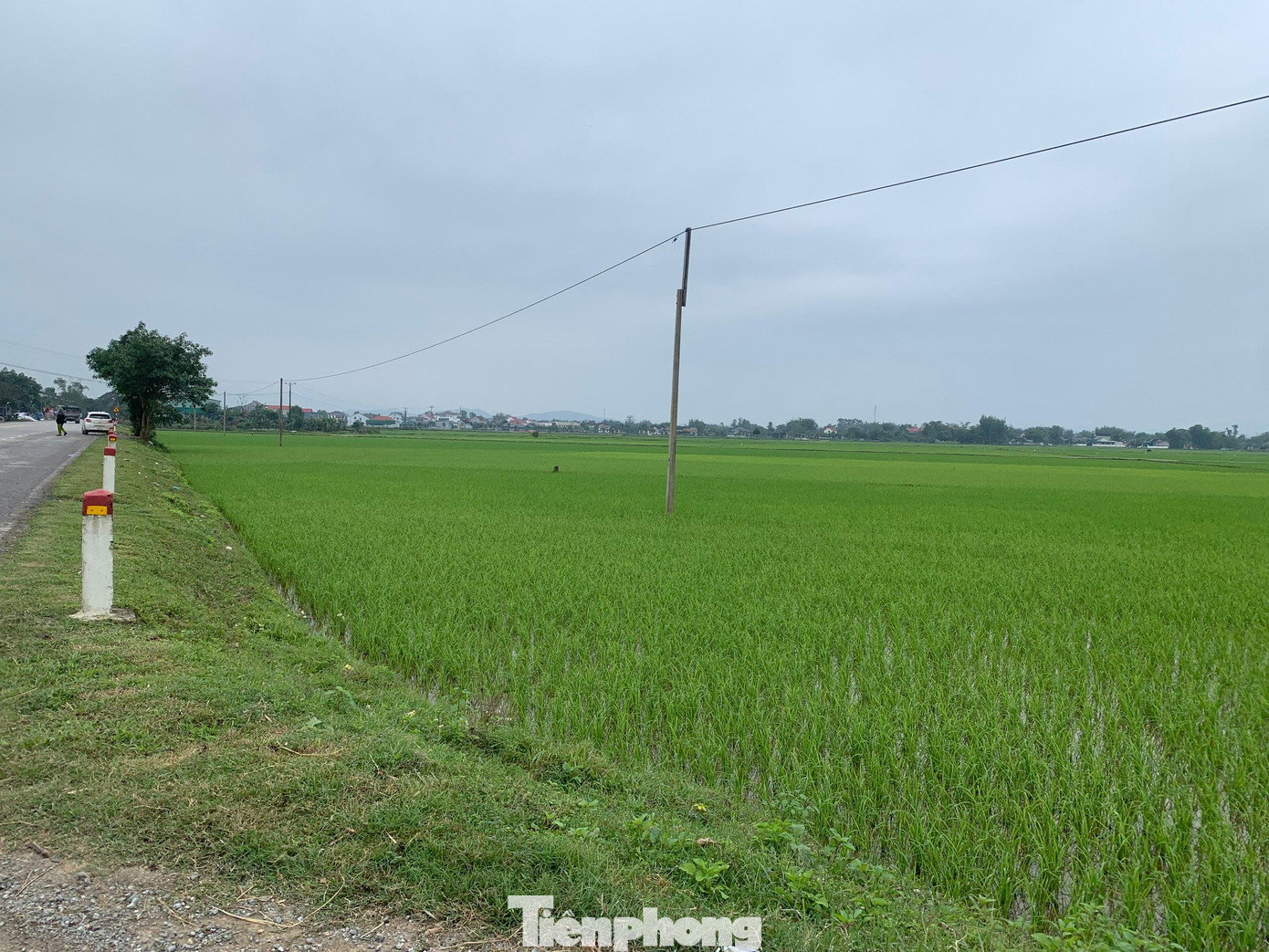 9 lô đất tại xã Lâm Trung Thuỷ có giá khởi điểm cao ngất.