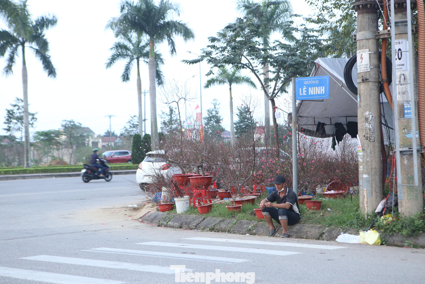 Tại TP Hà Tĩnh bắt đầu từ ngày 20 tháng Chạp người dân bắt đầu đưa mai, đào, quất về bày bán tại dọc đường Xô Viết Nghệ Tĩnh tuy nhiên tình hình mua bán tại đây vẫn khá trầm lắng, sức tiêu thụ thấp hơn so với năm ngoái.