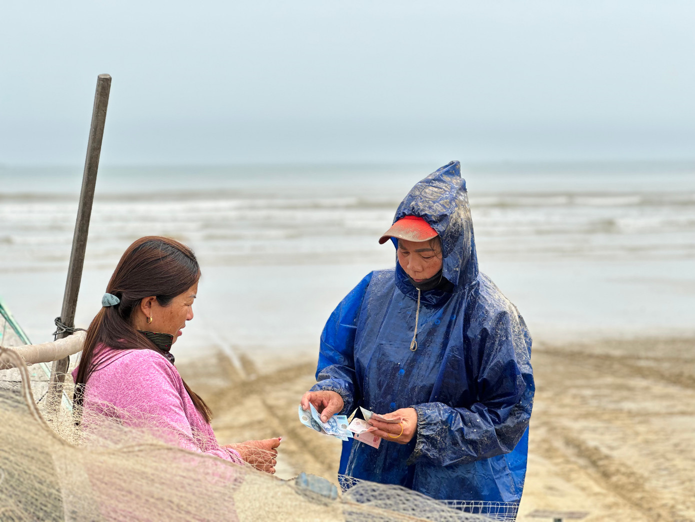 Cá sau khi đánh bắt xong được mua tại bờ nên ngư dân phấn khởi. Khoảng 10 ngày nay người dân các vùng bãi ngang Thạch Văn, Thạch Trị, Thạch Lạc.. (thành phố Hà Tĩnh) trúng đậm cá trích. Trung bình mỗi tàu thuyền đánh bắt từ 3 tạ đến cả tấn sau nhiều giờ ra khơi.
