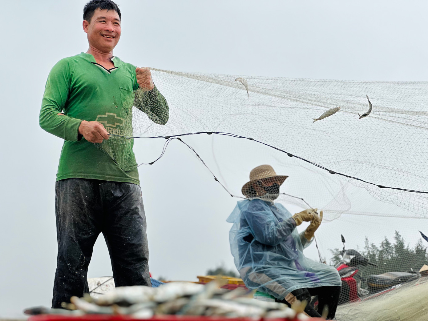 Người dân tập trung giật lưới để cá rơi xuống. Công việc này đòi hỏi sự nhanh nhẹn, tỉ mỉ và mất khá nhiều thời gian.