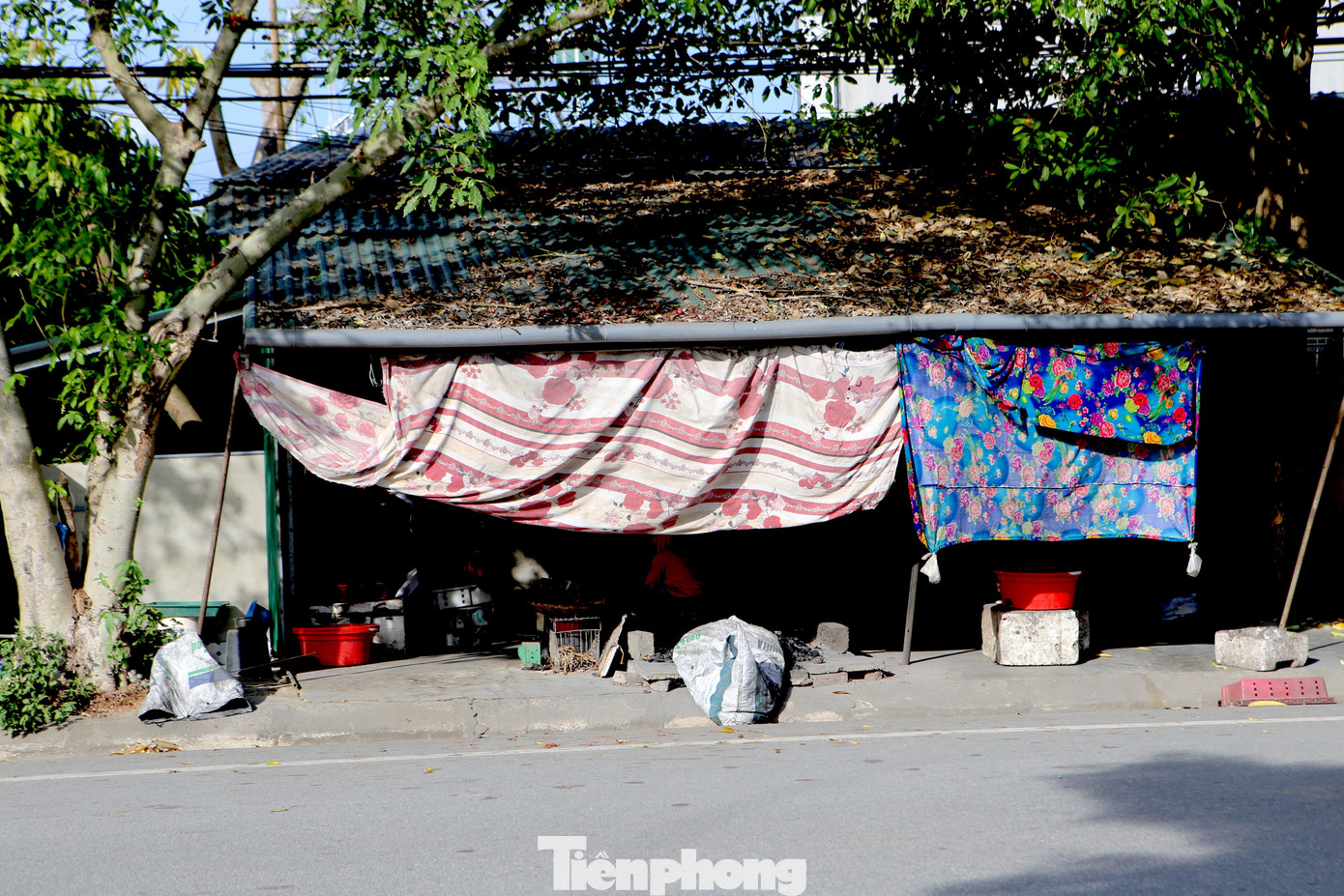 Gian hàng bếp nướng cá của bà Thuận phải lắp thêm những tấm vải để che nắng, nhưng lò bếp vẫn hừng hực.