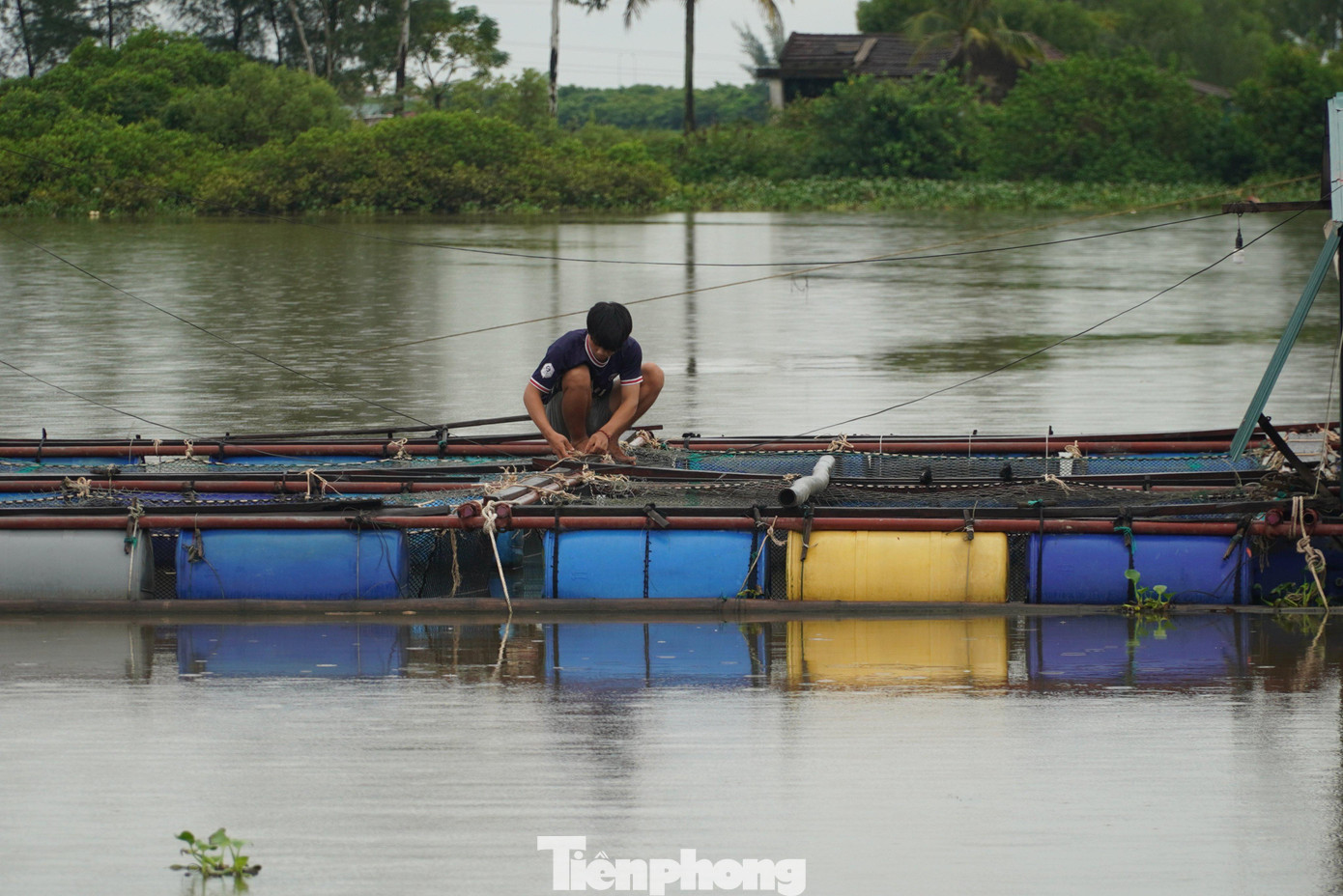 Người dân Hà Tĩnh chủ động gia cố lồng bè lại.