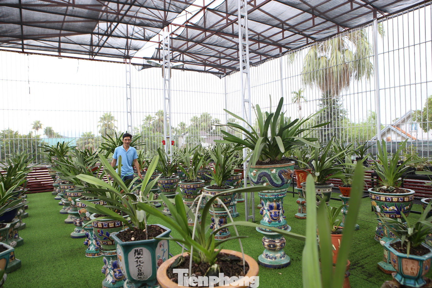 Anh Nguyễn Văn Long (SN 1984, ở thôn Nhân Hòa, xã Tân Lâm Hương, huyện Thạch Hà, tỉnh Hà Tĩnh) là chủ vườn lan rừng giá trị tiền tỷ, trong đó có nhiều giống lan quý hiếm.