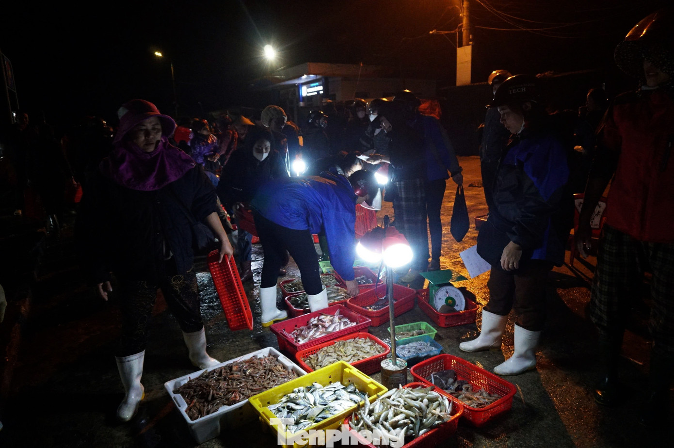 Phiên chợ tại cảng hoạt động từ 4h sáng đến khoảng 7h cùng ngày, hải sản sẽ được tiểu thương chở đi tiêu thụ khắp các vùng trong và ngoài tỉnh. Phiên chợ tại cảng hoạt động từ 4h sáng đến khoảng 7h cùng ngày, hải sản sẽ được tiểu thương chở đi tiêu thụ khắp các vùng trong và ngoài tỉnh.