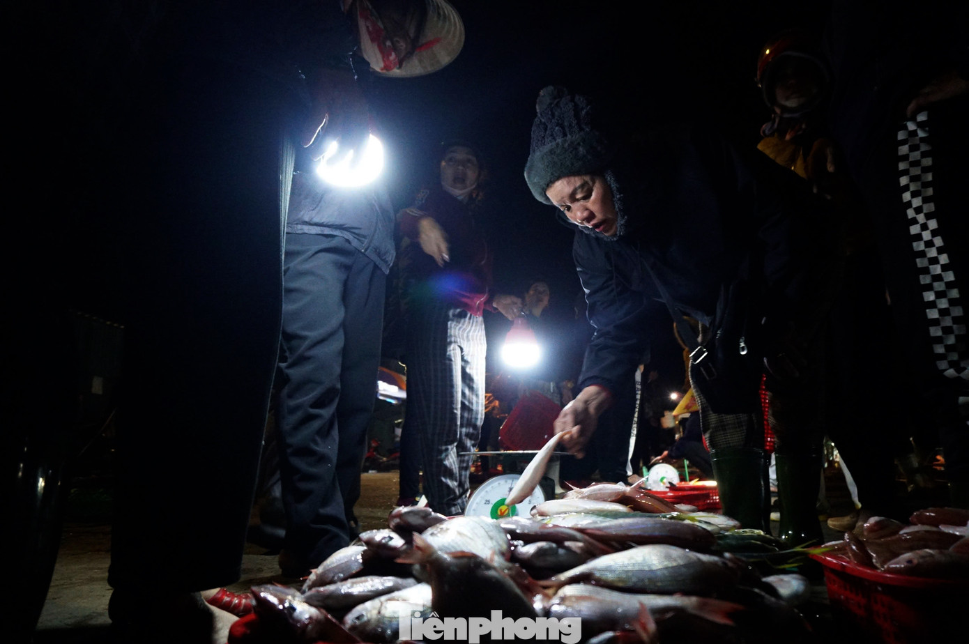 Phiên chợ tại cảng hoạt động từ 4h sáng đến khoảng 7h cùng ngày, hải sản sẽ được tiểu thương chở đi tiêu thụ khắp các vùng trong và ngoài tỉnh. Phiên chợ tại cảng hoạt động từ 4h sáng đến khoảng 7h cùng ngày, hải sản sẽ được tiểu thương chở đi tiêu thụ khắp các vùng trong và ngoài tỉnh.