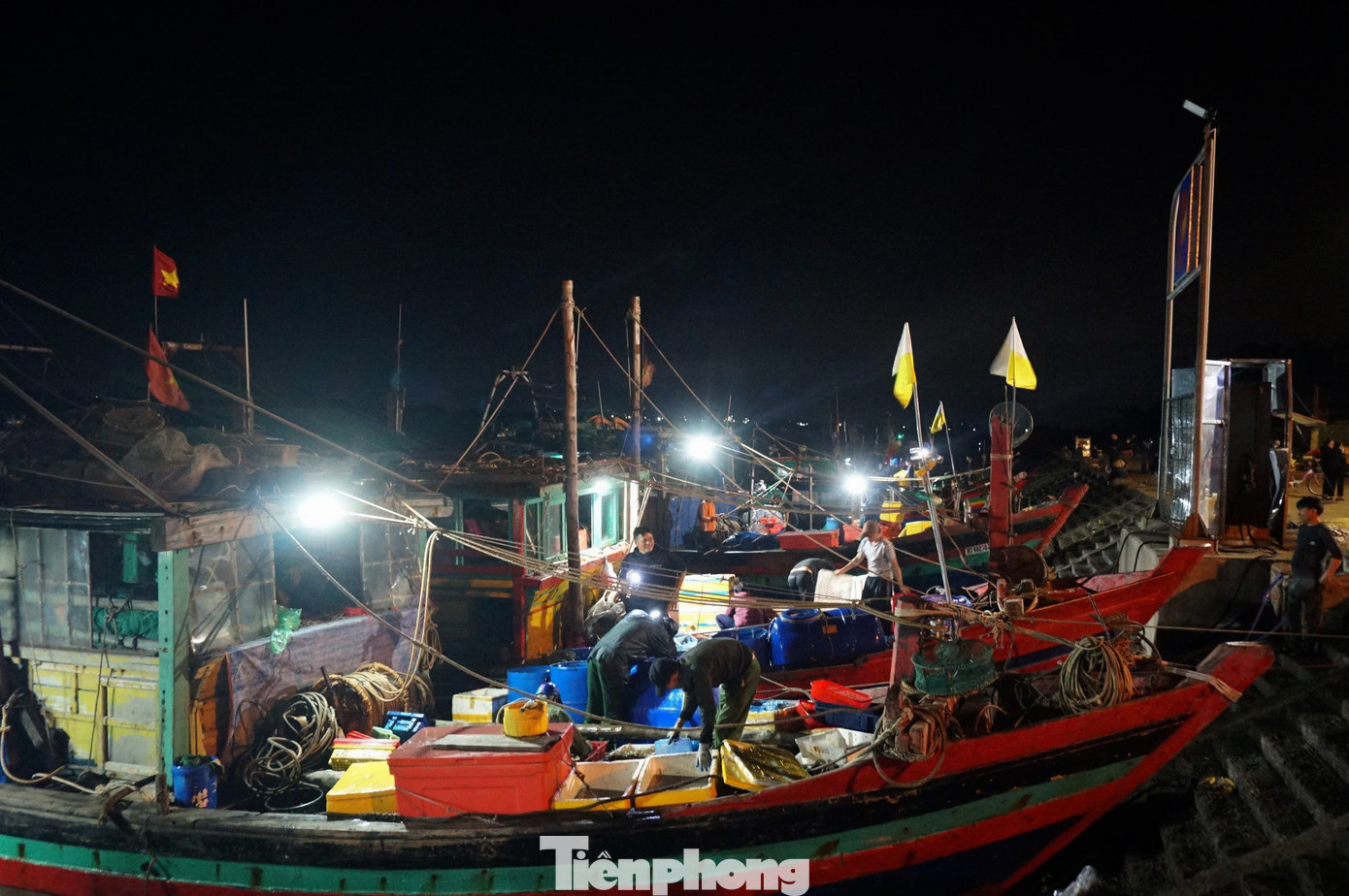 Rạng sáng, từng lượt tàu, thuyền cập cảng với khoang đầy ắp các loại hải sản như mực, ốc, ghẹ, tôm, cá. Tại các tàu thuyền, ngư dân hối hả dùng khay vận chuyển "lộc trời" lên bờ. Rạng sáng, từng lượt tàu, thuyền cập cảng với khoang đầy ắp các loại hải sản như mực, ốc, ghẹ, tôm, cá. Tại các tàu thuyền, ngư dân hối hả dùng khay vận chuyển "lộc trời" lên bờ.