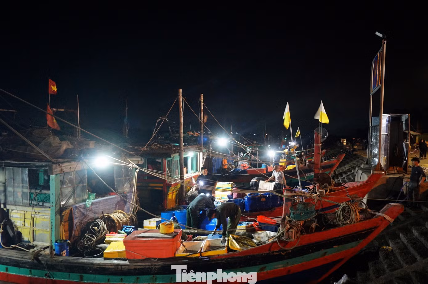 Rạng sáng, từng lượt tàu, thuyền cập cảng với khoang đầy ắp các loại hải sản như mực, ốc, ghẹ, tôm, cá. Tại các tàu thuyền, ngư dân hối hả dùng khay vận chuyển "lộc trời" lên bờ.