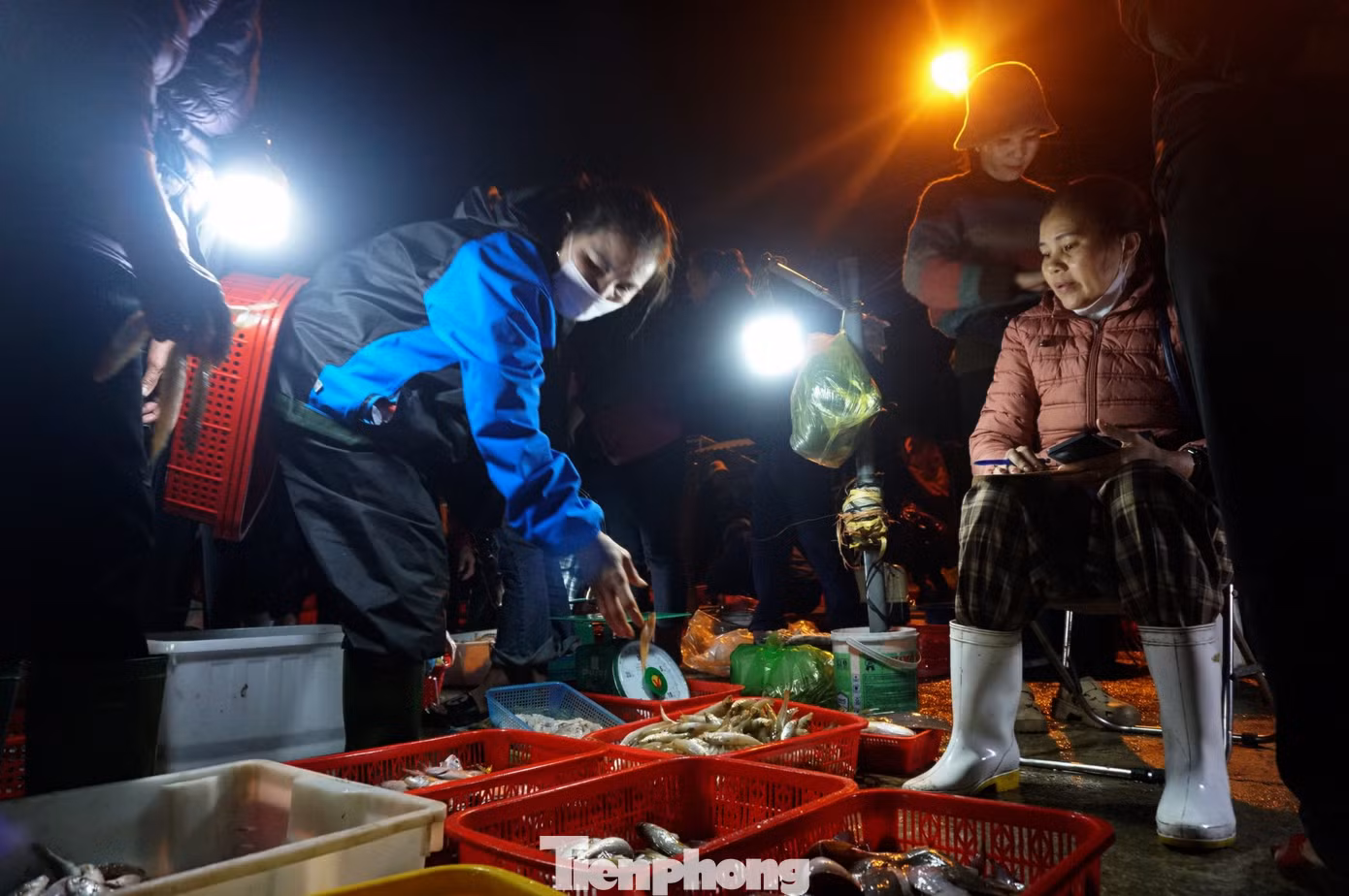 Sau kỳ nghỉ Tết Nguyên đán, tàu thuyền của ngư dân Hà Tĩnh nối đuôi nhau ra biển đánh bắt và trúng đậm hải sản. Chợ cá trên bến cảng tấp nập cảnh người bán, kẻ mua từ rạng sáng.