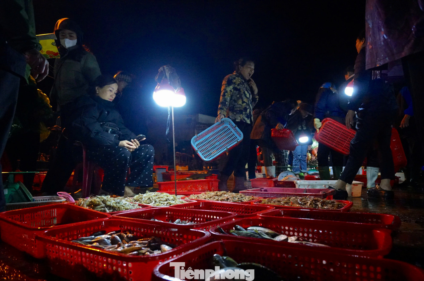 Sau kỳ nghỉ Tết Nguyên đán, tàu thuyền của ngư dân Hà Tĩnh nối đuôi nhau ra biển đánh bắt và trúng đậm hải sản. Chợ cá trên bến cảng tấp nập cảnh người bán, kẻ mua từ rạng sáng. Sau kỳ nghỉ Tết Nguyên đán, tàu thuyền của ngư dân Hà Tĩnh nối đuôi nhau ra biển đánh bắt và trúng đậm hải sản. Chợ cá trên bến cảng tấp nập cảnh người bán, kẻ mua từ rạng sáng.