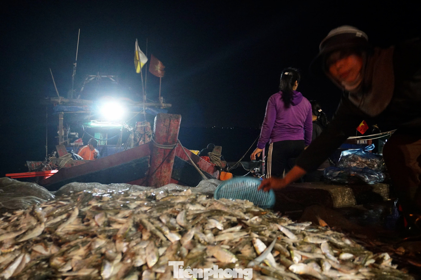 Đầu năm, hải sản đánh bắt bán được với giá cao, giá tăng khoảng 50% so với ngày thường nên ngư dân rất phấn khởi. Đầu năm, hải sản đánh bắt bán được với giá cao, giá tăng khoảng 50% so với ngày thường nên ngư dân rất phấn khởi.