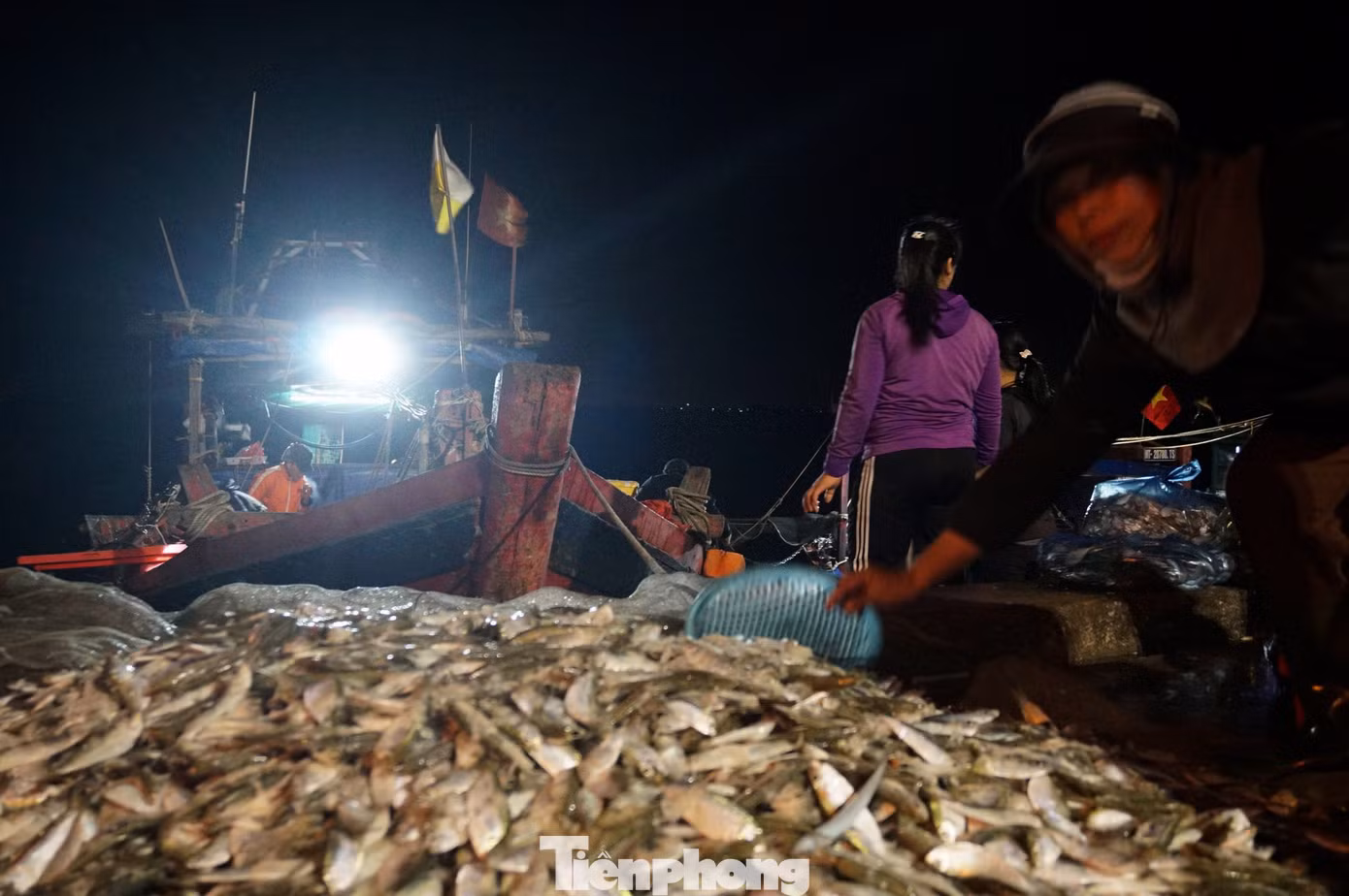 Đầu năm, hải sản đánh bắt bán được với giá cao, giá tăng khoảng 50% so với ngày thường nên ngư dân rất phấn khởi.