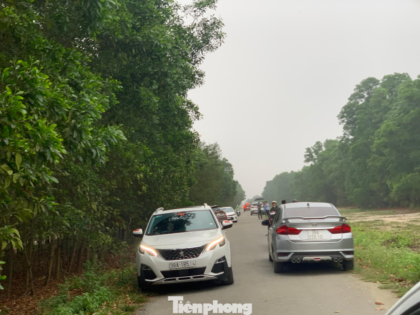 Ông Dương Văn Thái - Chủ tịch UBND xã Thạch Văn, huyện Thạch Hà cho hay, khi bắt đầu có quy hoạch dự án, cùng với đó hạ tầng đường được mở rộng, đất tại địa phương tăng nhanh chóng. Số lượng người về mua đất rất đông. Tuy nhiên việc mua bán, chuyển nhượng đất cũng có nhưng không thông qua xã nên địa phương không nắm rõ. Dự án Khu du lịch biển cao cấp Wyndham Costa quy hoạch tại Thạch Văn và Thạch Trị. Trong đó chủ yếu tại phần đất của xã Thạch Văn, trước mắt dự án sẽ lấy khoảng 62ha.