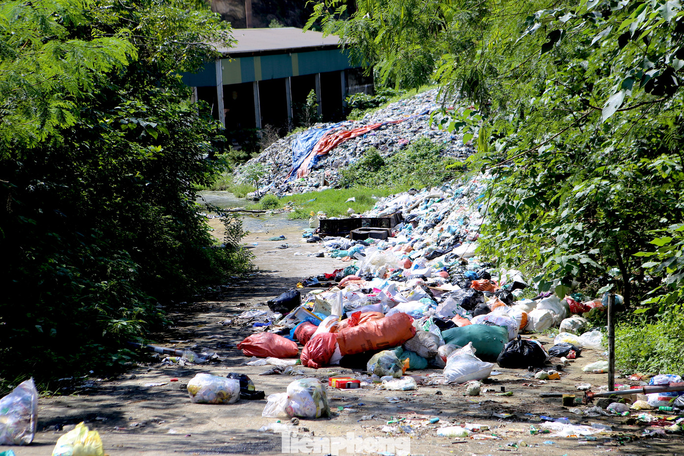 Bãi rác Phượng Thành rộng khoảng 3ha, nằm giáp ranh giữa thôn Thạch Thành (xã Tùng Ảnh) và thôn Đông Xá (xã Hoà Lạc, huyện Đức Thọ, tỉnh Hà Tĩnh). Đây là bãi tập kết và chôn lấp rác thải tự phát trước đây. Bãi rác Phượng Thành rộng khoảng 3ha, nằm giáp ranh giữa thôn Thạch Thành (xã Tùng Ảnh) và thôn Đông Xá (xã Hoà Lạc, huyện Đức Thọ, tỉnh Hà Tĩnh). Đây là bãi tập kết và chôn lấp rác thải tự phát trước đây.