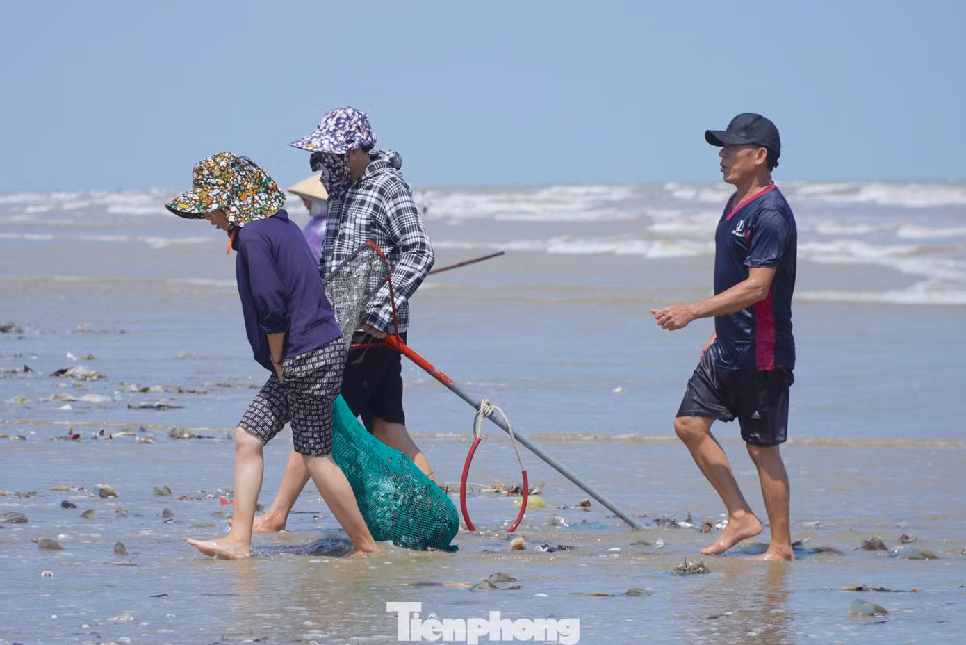 Sau nhiều giờ dầm mình dưới nước biển, người dân mang ngao, sò vào bờ để bán cho thương lái.