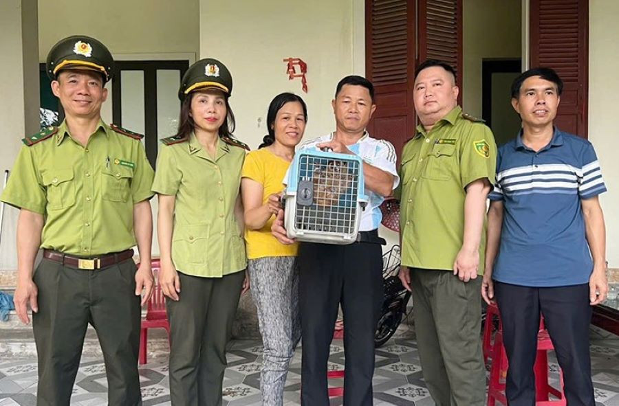 Người dân giao nộp cá thể cu li để thả về môi trường tự nhiên. Người dân giao nộp cá thể cu li để thả về môi trường tự nhiên.