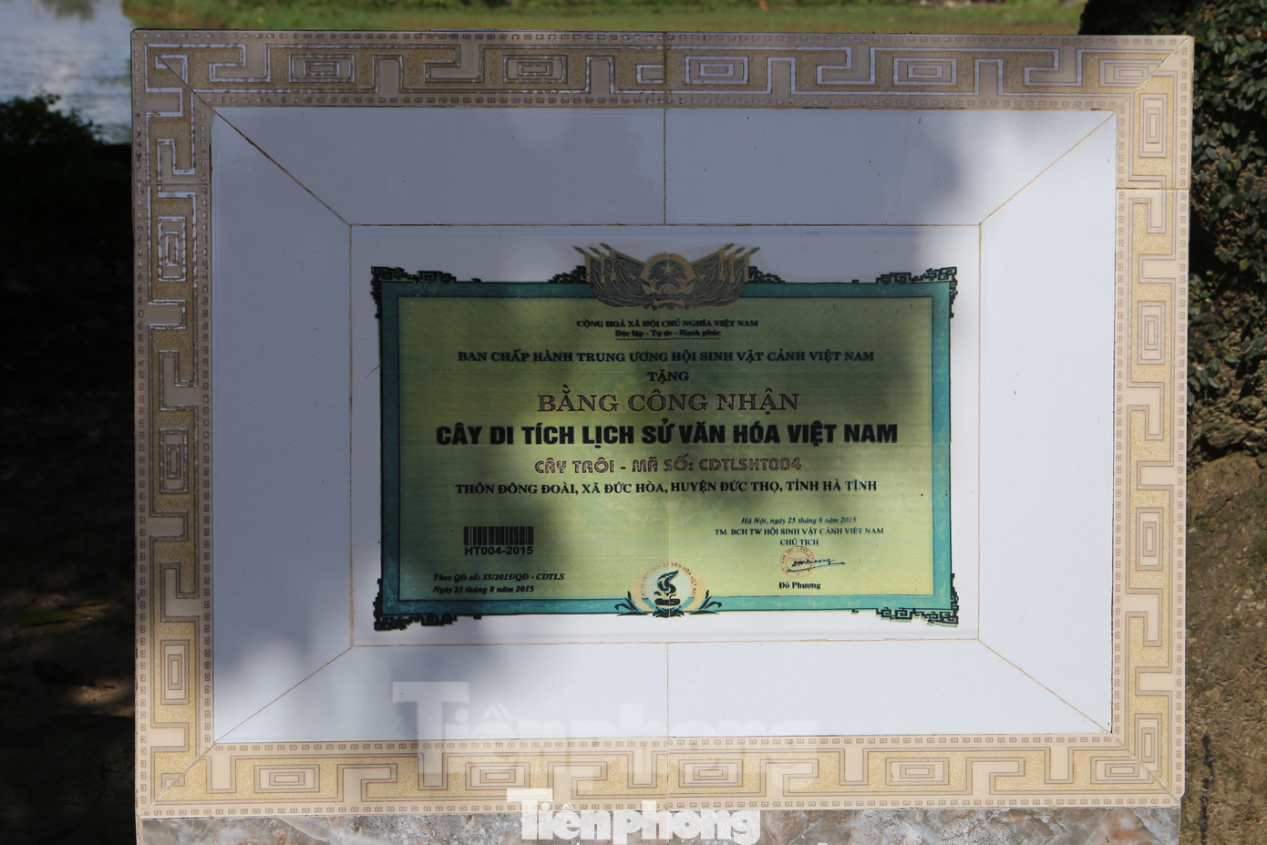 Năm 2015, người dân vui mừng khi đón Bằng công nhận Cây di tích lịch sử văn hóa Việt Nam cho cây trôi trên 400 năm tuổi này. Sau đó người dân góp tiền xây bia tượng trưng tại gốc cây trôi.