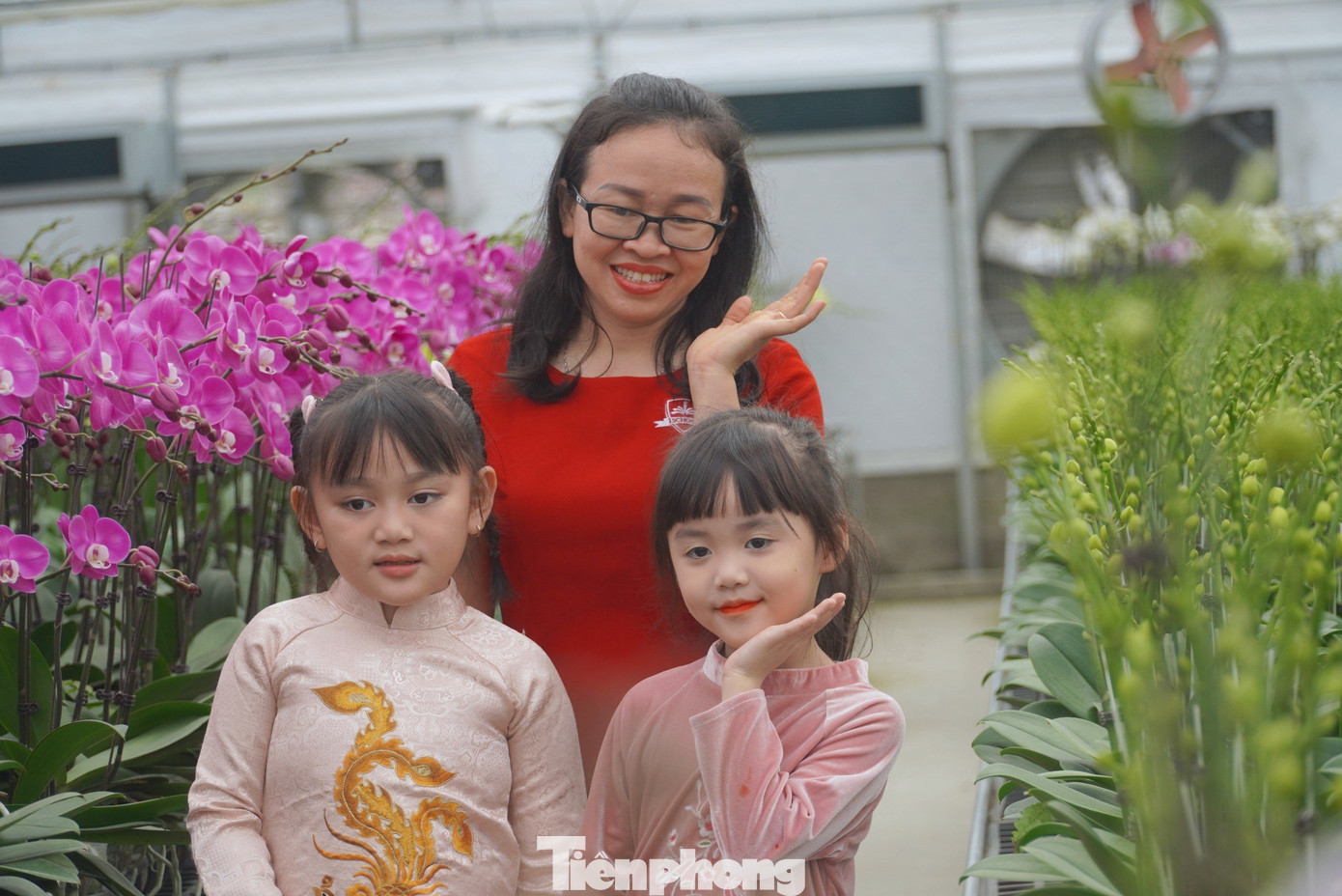 Một số gia đình đến tham quan, đặt mua hoa dịp Tết và check-in khoảnh khắc bên hoa lan.