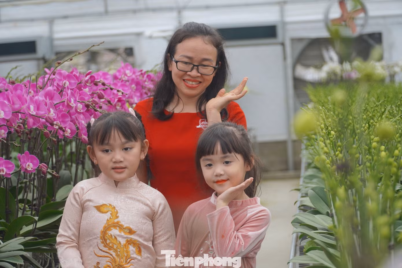 Một số gia đình đến tham quan, đặt mua hoa dịp Tết và check-in khoảnh khắc bên hoa lan.