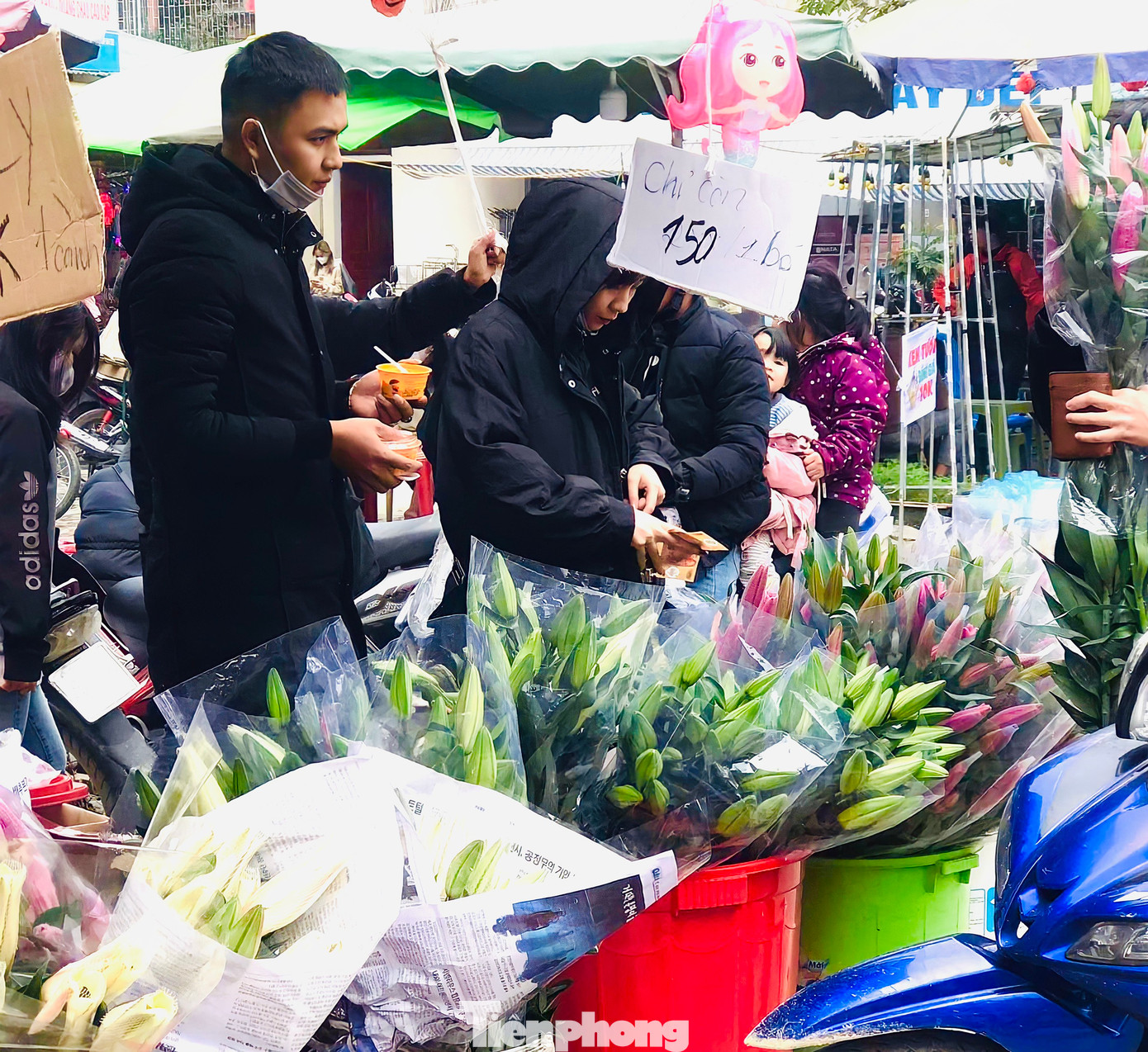 Chị T. (trú thị trấn Phố Châu) năm nay đưa 500 cành ly nhập từ Hà Nội về bán. Nhưng hiện tại mới chỉ bán được 100 cành. Sợ không bán được, nay chị cũng phải bán giá gốc với mong muốn lấy lại được số vốn hơn 20 triệu đã bỏ ra.