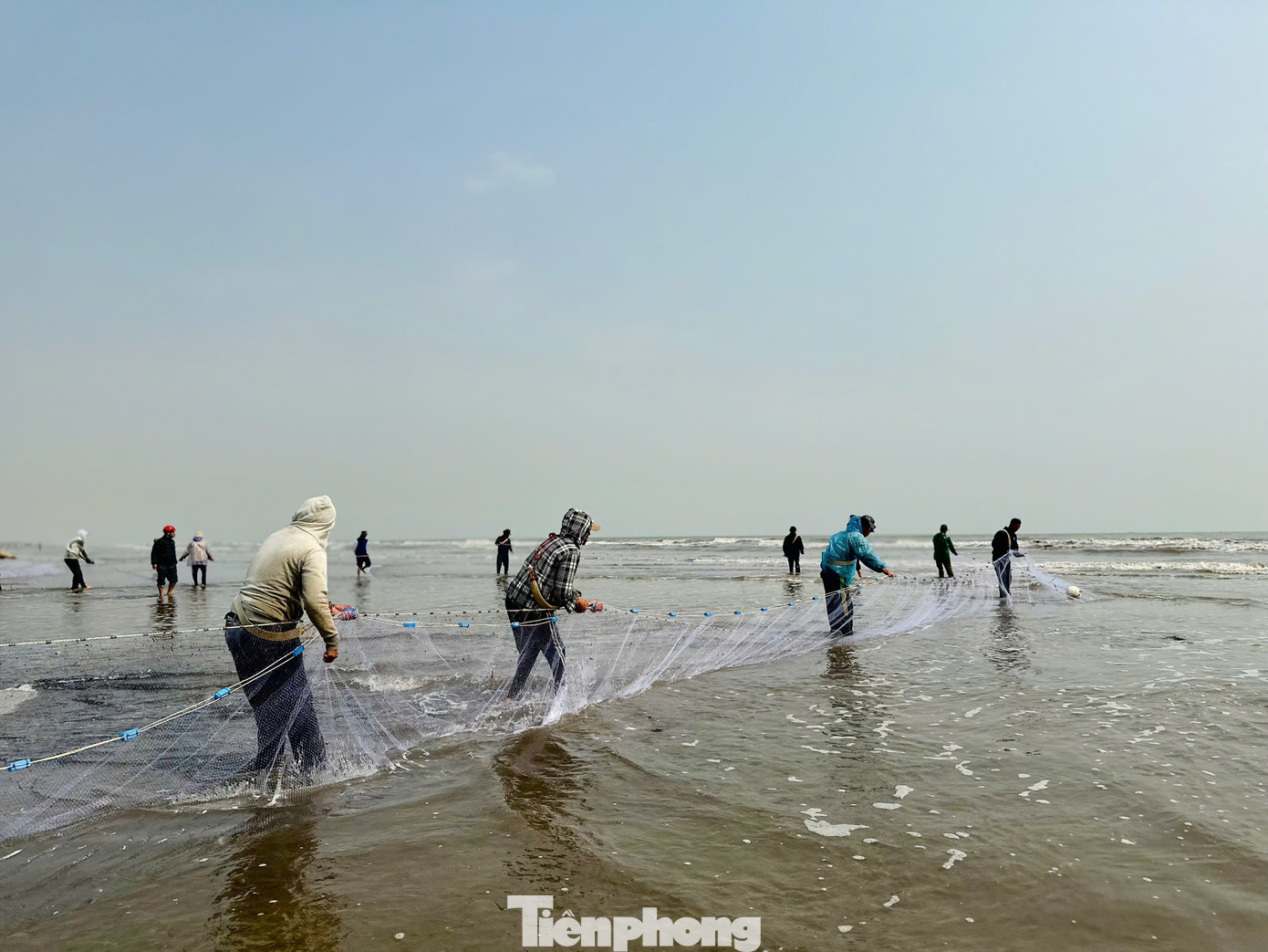 Các ngư dân bắt đầu công việc thả lưới từ khoảng 4-5h sáng. Những chiếc lưới dài hàng trăm mét được thả ra biển, sau đó có hàng chục người cùng đi lùi, kéo lưới vào bờ. Ngư dân cho hay có những ngày trúng đậm hàng tấn cá.