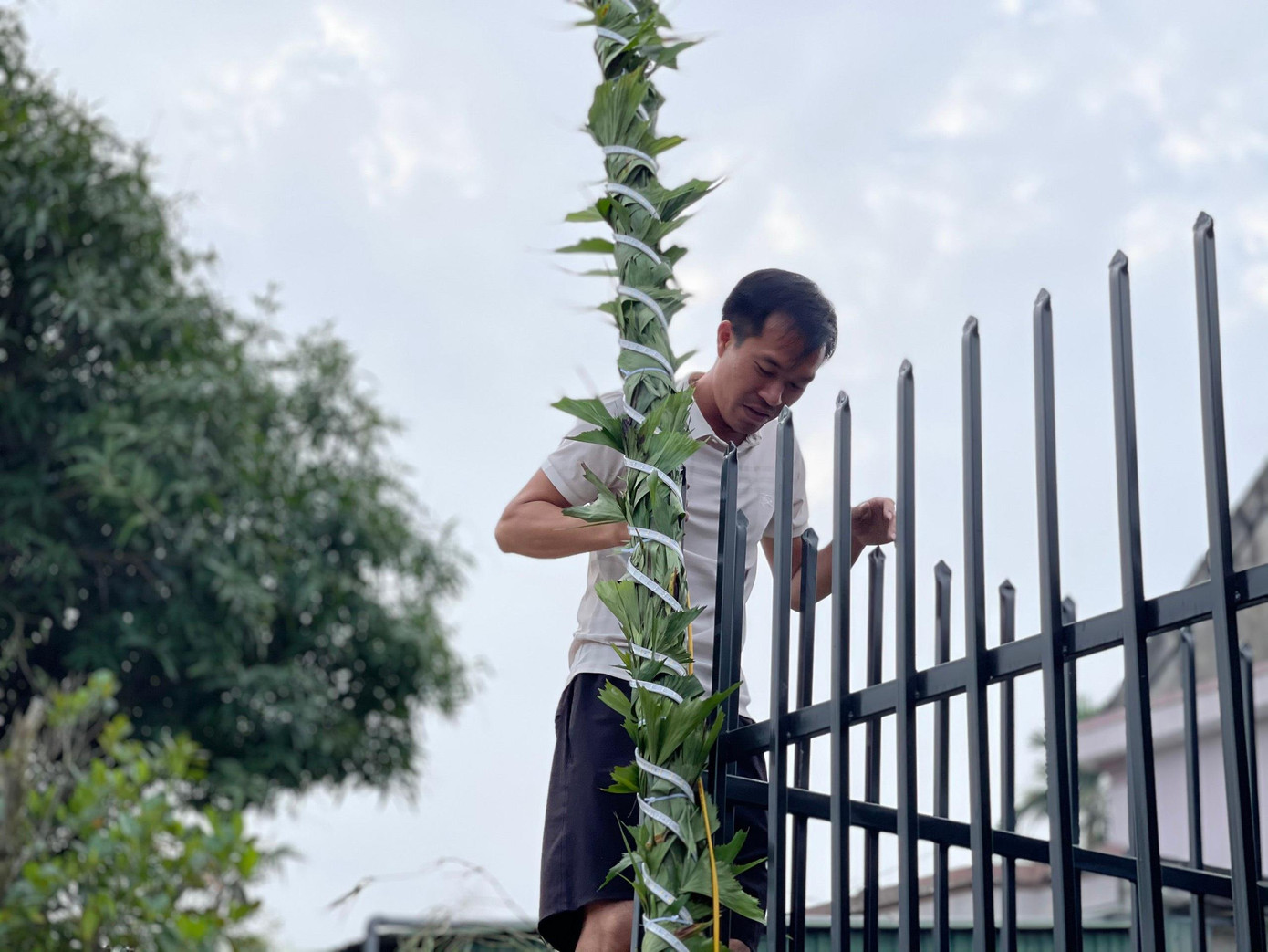 Để tăng thêm nét đẹp lung linh trong ngày Tết, người dân còn sử dụng bóng đèn LED, lá cây đùng đình hoặc lá vạn tuế để trang trí với mục đích trừ tà, đón Tết bình an.