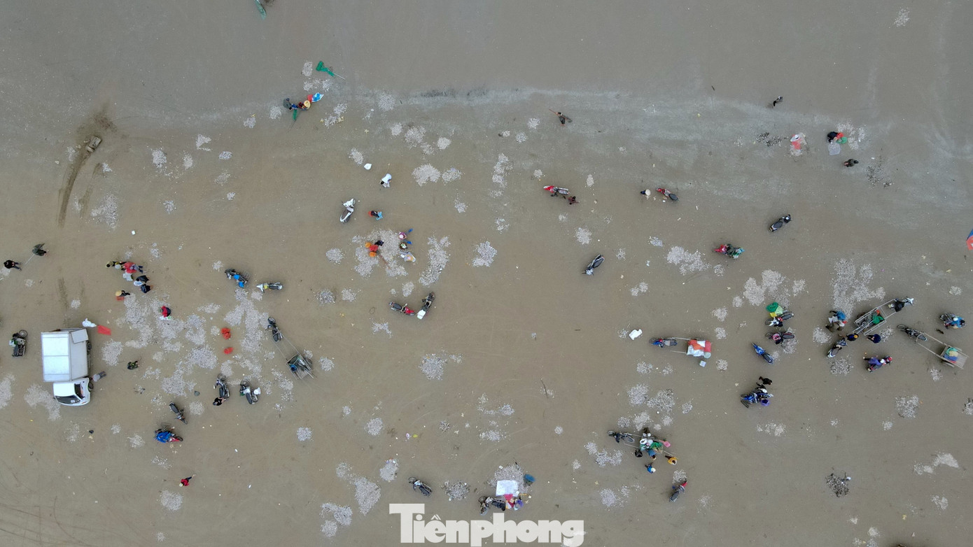 Hàng trăm người dân tập trung đi dọc bờ biển để bắt sò. Người dân phấn khởi vì dịp này sò dạt vào rất nhiều giúp họ có thêm thu nhập trong những ngày biển động.