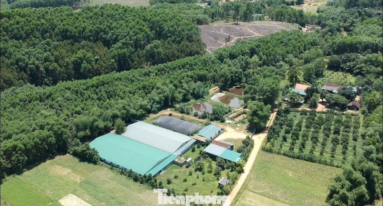 Toàn cảnh trang trại nhìn từ trên cao, nằm gần khu dân cư.