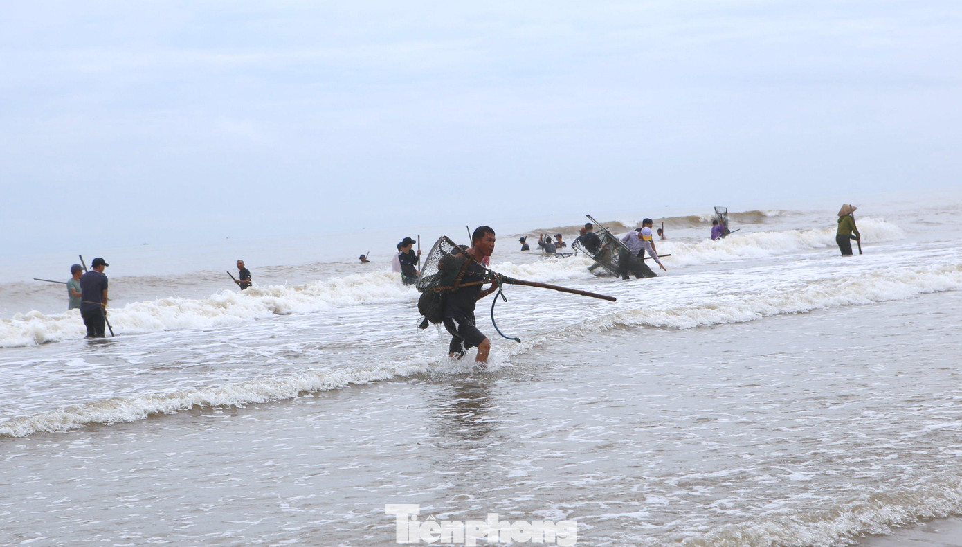 Theo kinh nghiệm của người dân địa phương, vào những thời điểm biển động hoặc sau bão thì các loại hải sản như: sò, ốc, ngao.. bị sóng lớn đánh mạnh vào bờ.