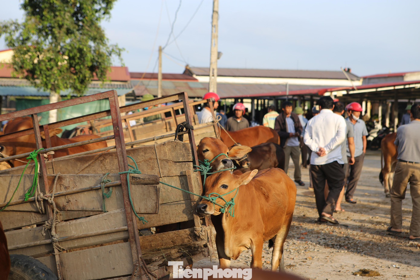 Việc mua bán tại chợ rất đơn giản. Người mua trả giá. Nếu đồng ý, người bán sẽ đập tay.