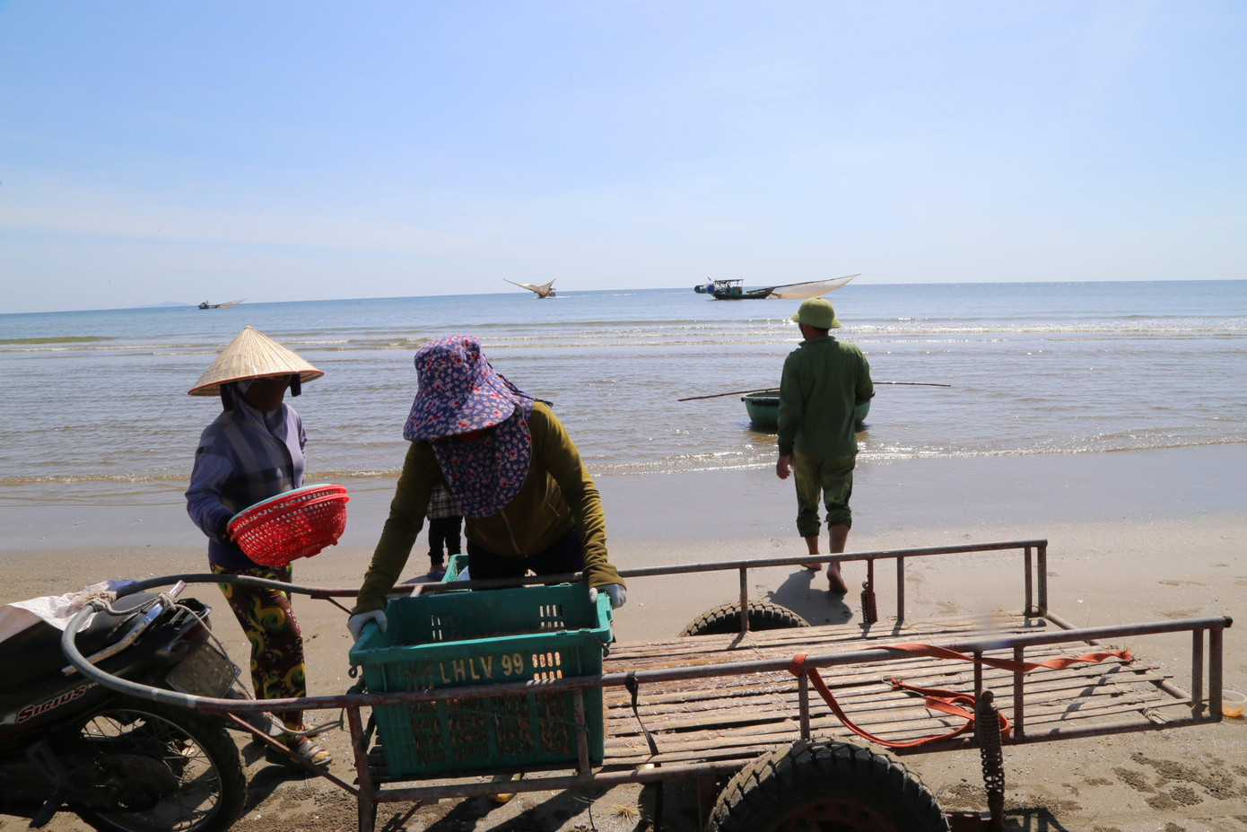 Hai ngày ra khơi, ngư dân xã Cương Gián trúng đậm ruốc biển. Trung bình mỗi ngày thuyền ra khơi thu từ 2-5 tạ ruốc tươi.