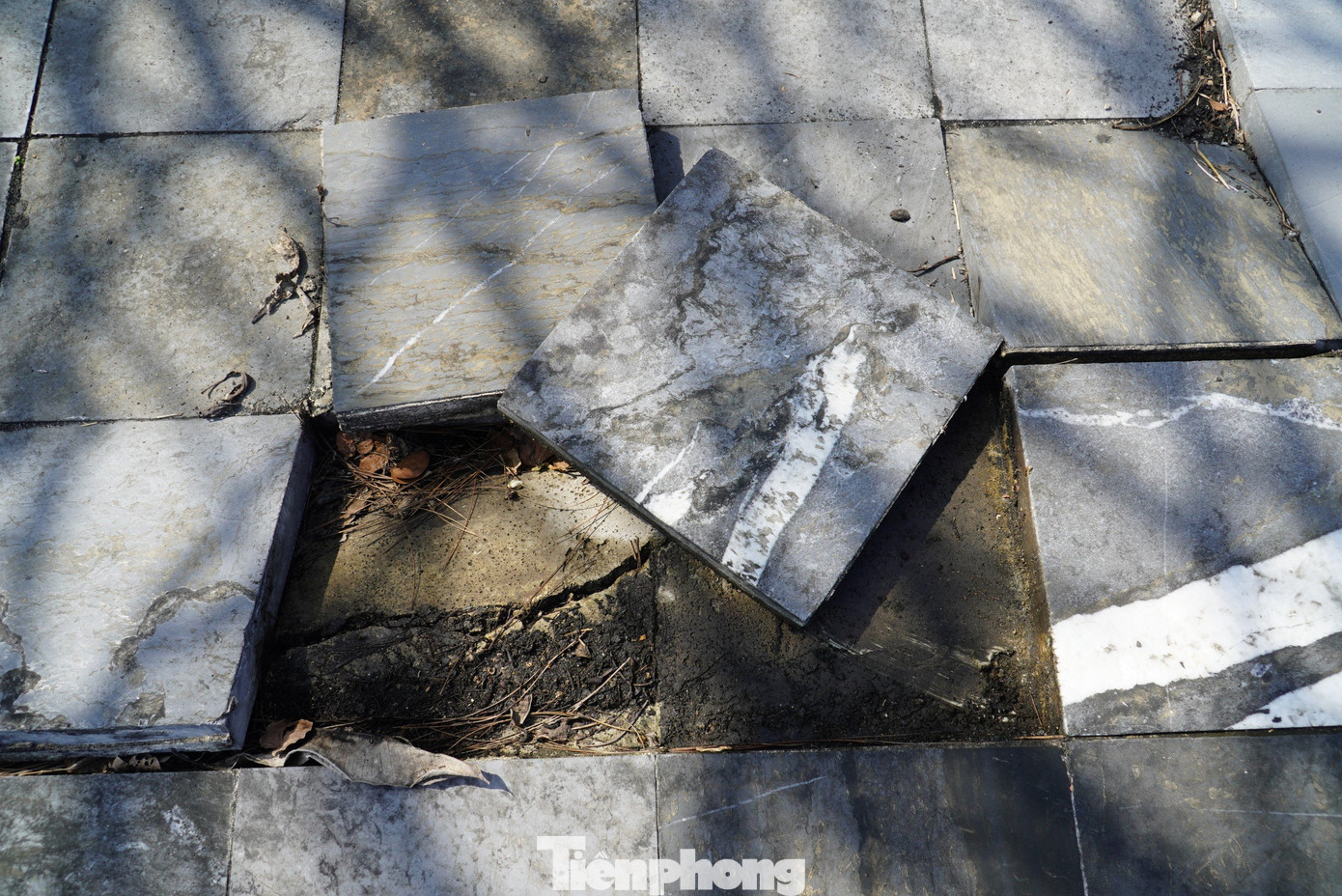 “Thấy tượng đài nhiều hạng mục nay đã xuống cấp chúng tôi cảm thấy rất xót. Mong thời gian tới sẽ được tu bổ, đón khách đến thăm quan”, ông Nguyễn Văn Tuấn (70 tuổi, trú thị trấn Vũ Quang) cho hay.