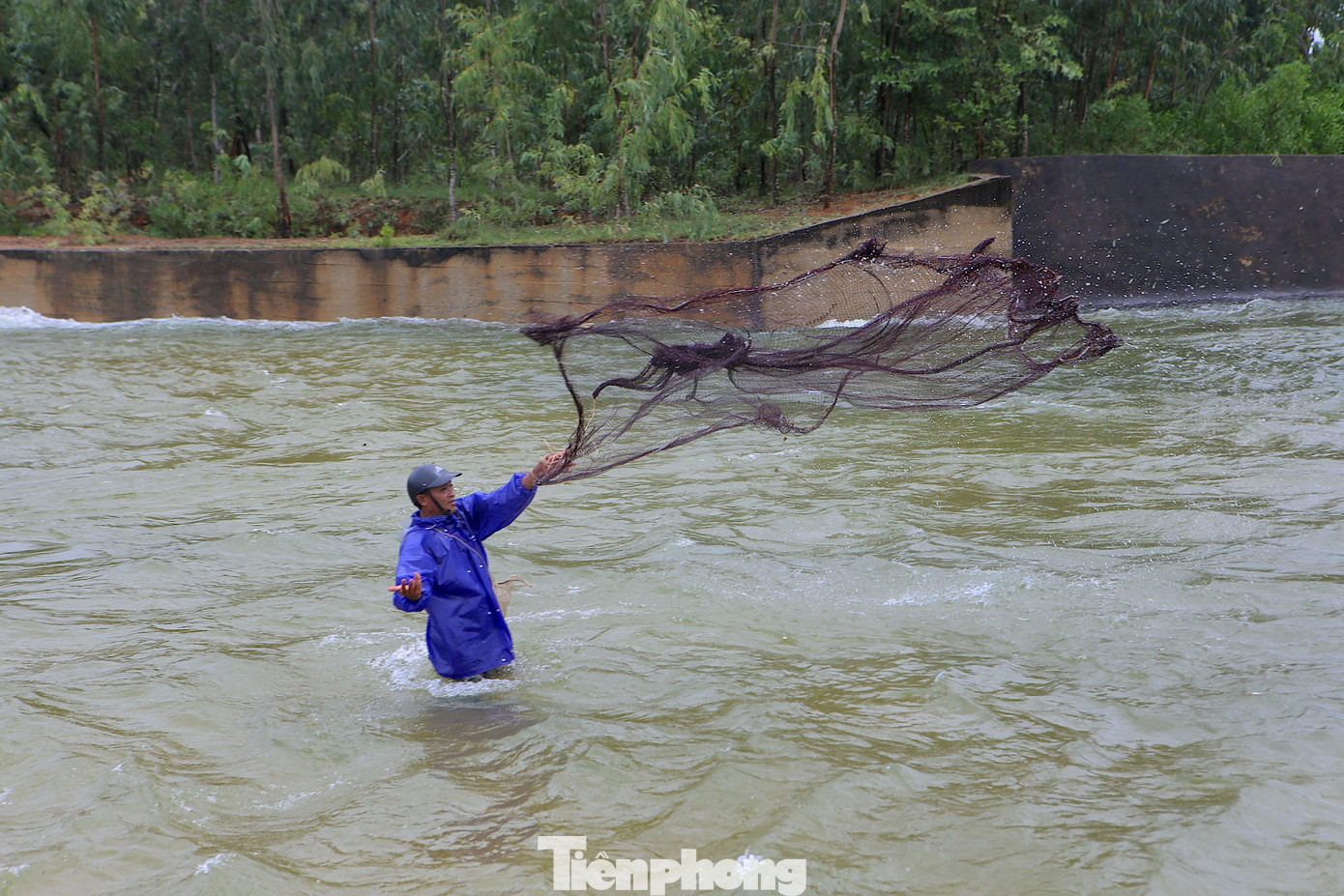 Ngoài dùng vợt, người dân còn dùng lưới để bắt cá.