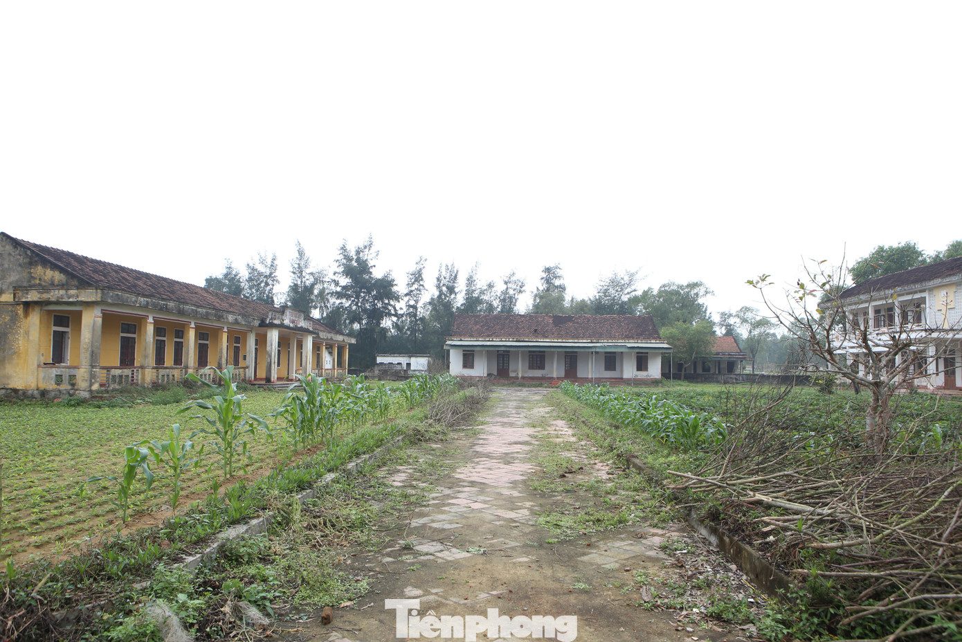 Trường Tiểu học Thịnh Lộc được xây dựng vào năm 2006 trên diện tích 5000 m2. Có 3 dãy nhà gồm phòng học và phòng chức năng. Hiện ngôi trường đã bị xuống cấp, người dân địa phương vào chăn thả bò và tận dụng sân vườn để trồng hoa màu.