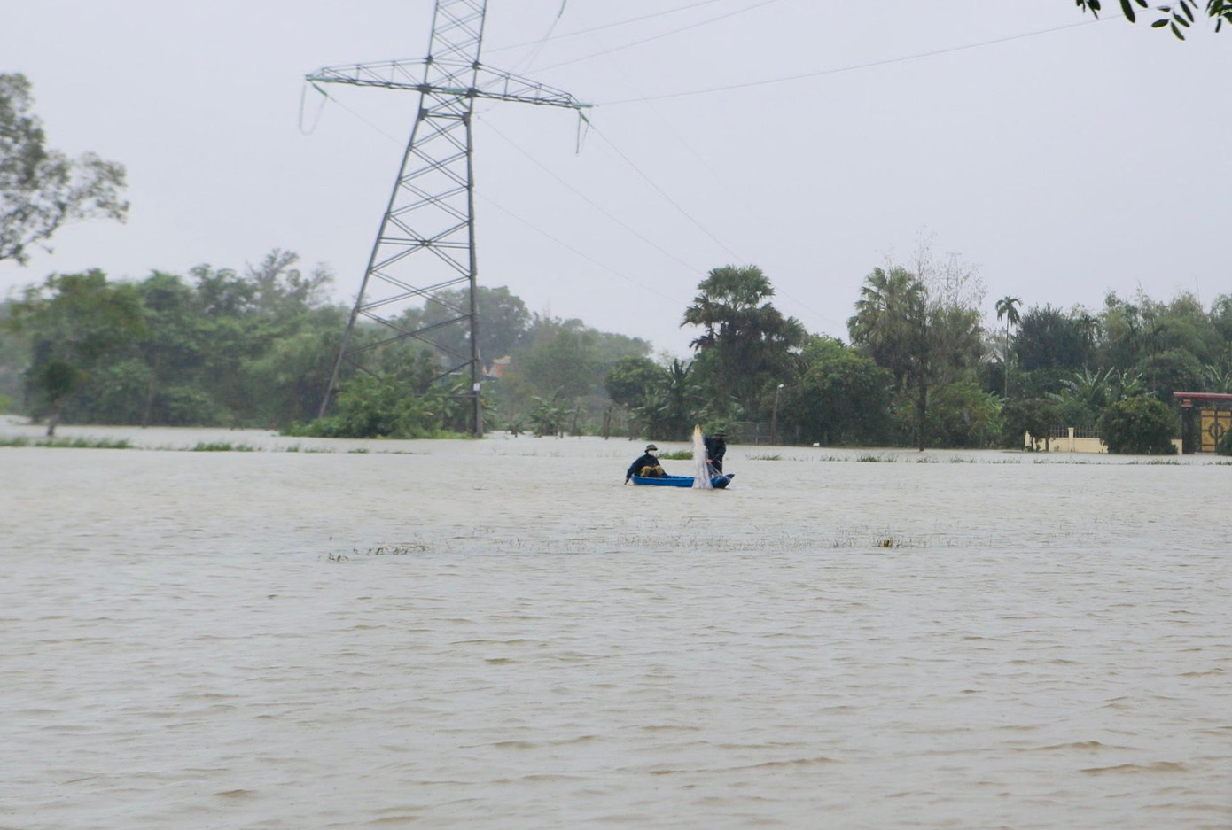 Tại cánh đồng thôn Tân Vĩnh Cần (xã Cẩm Thành) người dân sử dụng thuyền ra đồng để thả lưới. Tại cánh đồng thôn Tân Vĩnh Cần (xã Cẩm Thành) người dân sử dụng thuyền ra đồng để thả lưới.