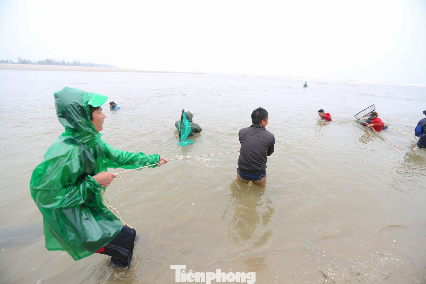 Họ ngâm mình dưới biển để cào sò, cứ khoảng 15-20 phút sẽ đưa lên bờ.