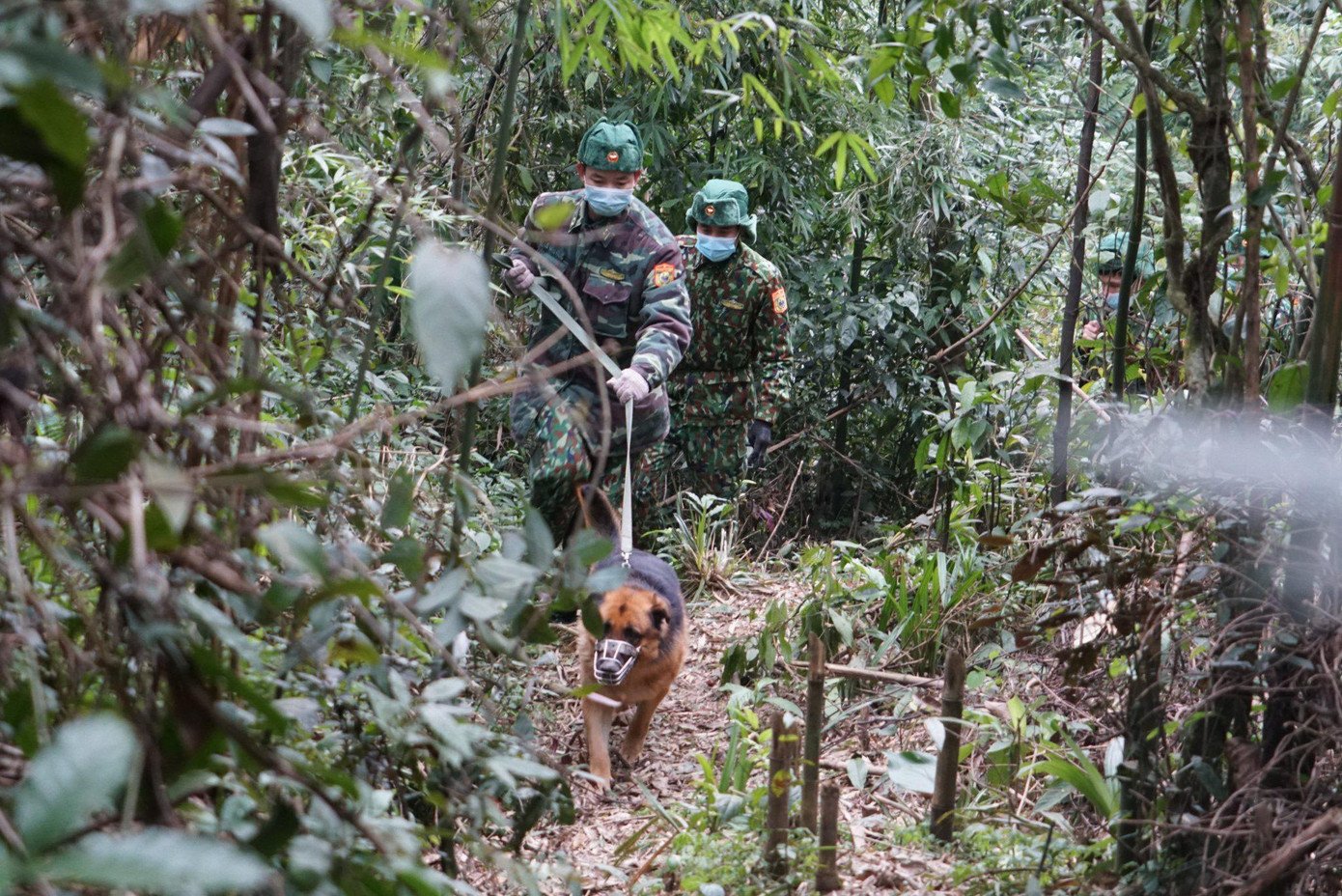 Qúa trình tuần tra kiểm soát đường mòn, lối mở ở khu vực Cửa khẩu Quốc tế Cầu Treo.