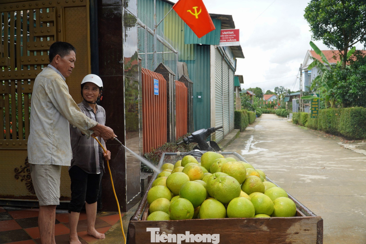 Người dân dùng máy xịt nước để rửa sạch bưởi. Khi bưởi ráo sẽ bán cho thương lái.