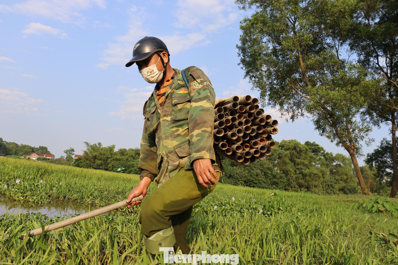 Ông Hà theo nghề gần 10 năm nay, hầu như cánh đồng nào ông cũng đã từng đặt trúm vì thế biết chỗ nào lươn nhiều và lươn to. Thời điểm này lươn nhiều nên chỉ cần chọn chỗ nước lấp xấp sẽ đi thả trúm. Mỗi ngày ông đặt 170 ống trúm, trung bình thu trên 5kg lươn/ngày, bán được giá từ 500-700 ngàn đồng. Ông Hà theo nghề gần 10 năm nay, hầu như cánh đồng nào ông cũng đã từng đặt trúm vì thế biết chỗ nào lươn nhiều và lươn to. Thời điểm này lươn nhiều nên chỉ cần chọn chỗ nước lấp xấp sẽ đi thả trúm. Mỗi ngày ông đặt 170 ống trúm, trung bình thu trên 5kg lươn/ngày, bán được giá từ 500-700 ngàn đồng.