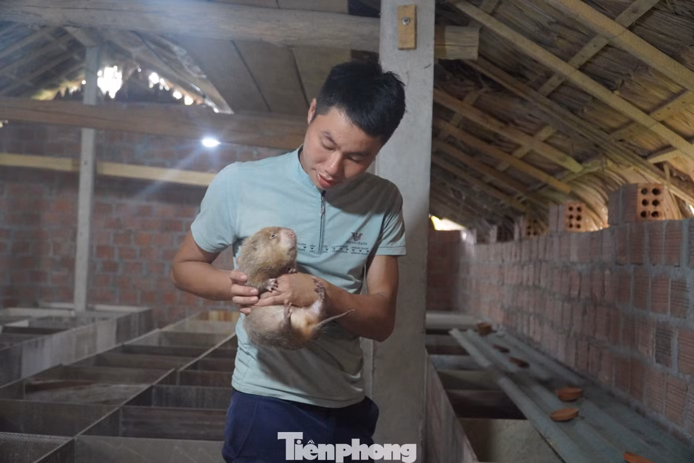 Anh Nhâm nuôi dúi thu lãi 200 triệu/năm.