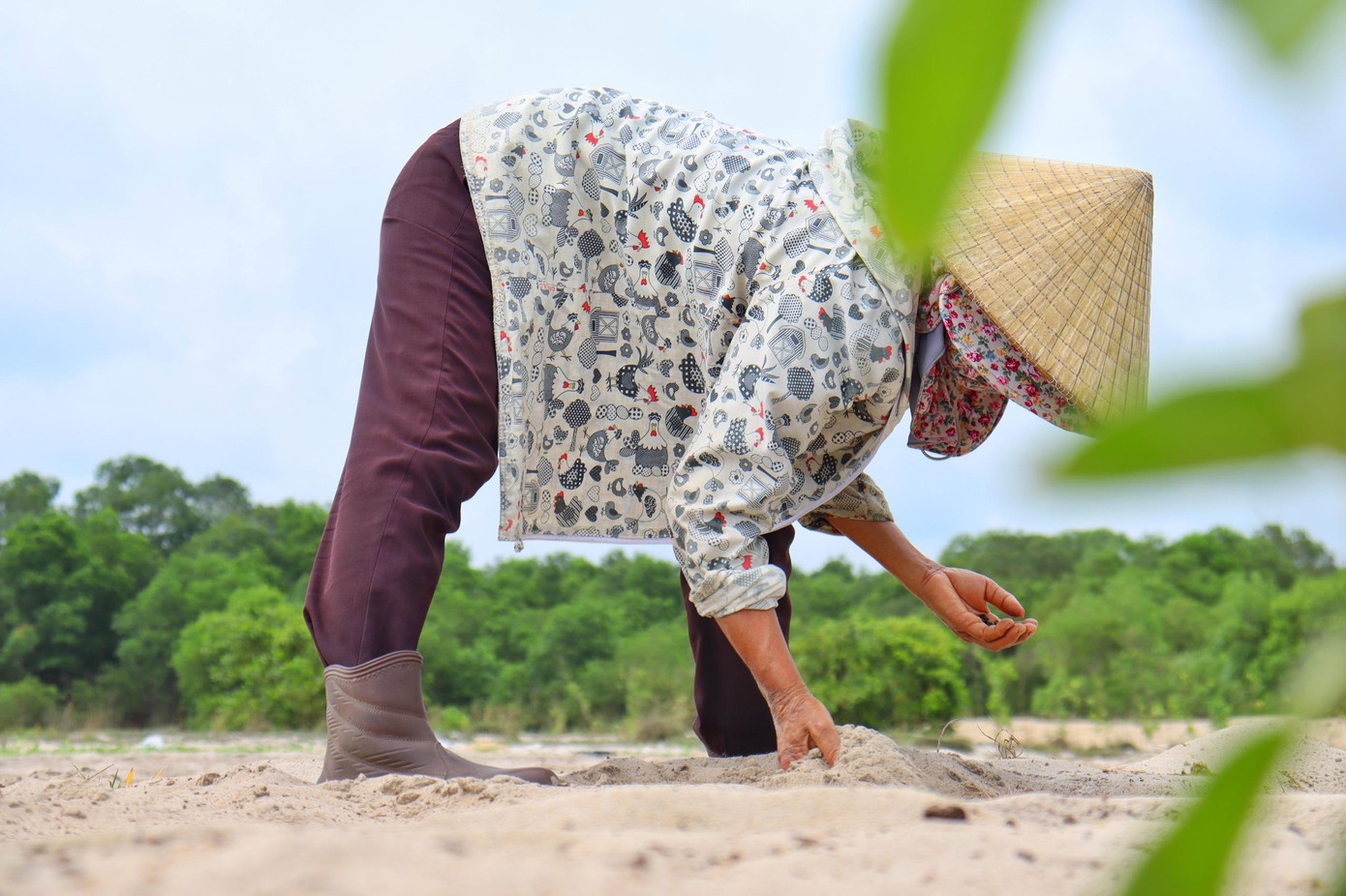 Mỗi mùa người dân lại thay đổi trồng các loại rau củ quả khác nhau. Mỗi mùa người dân lại thay đổi trồng các loại rau củ quả khác nhau.