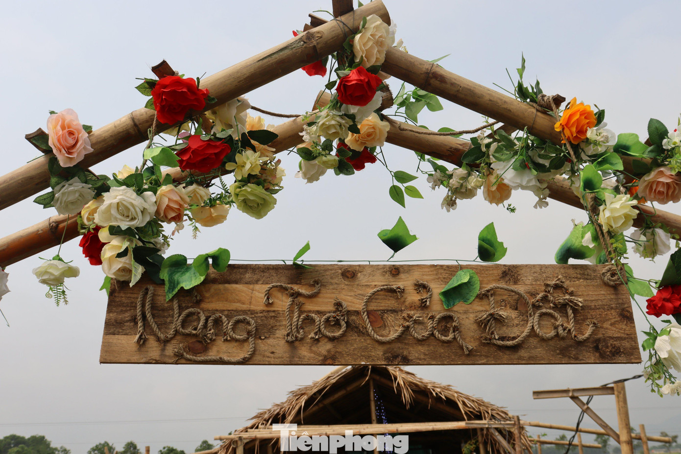 Là cô gái thích sáng tạo và không chịu “dậm chân tại chỗ”, chị Hằng đã đổi mới cách phát triển. Từ một mô hình “thuần nông sản” hiện giờ đã có thêm một quán cafe và nhiều điểm check in rất đẹp để tạo thêm thu nhập.