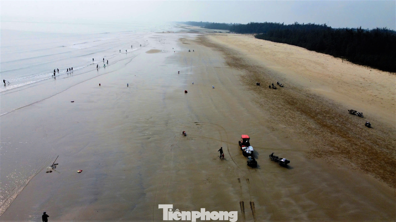 Khoảng 1 tuần nay, dọc bờ biển các vùng bãi ngang xã Thạch Hải, Thạch Lạc, Thạch Trị, Thạch Văn (thành phố Hà Tĩnh) có rất đông người dân mang cào ra biển để đánh bắt ốc tép (hay còn gọi là ốc dép). Theo người đánh bắt, những ngày này ốc dép dạt vào bờ hàng tấn, vì thế họ tranh thủ mang dụng cụ ra cào. Khoảng 1 tuần nay, dọc bờ biển các vùng bãi ngang xã Thạch Hải, Thạch Lạc, Thạch Trị, Thạch Văn (thành phố Hà Tĩnh) có rất đông người dân mang cào ra biển để đánh bắt ốc tép (hay còn gọi là ốc dép). Theo người đánh bắt, những ngày này ốc dép dạt vào bờ hàng tấn, vì thế họ tranh thủ mang dụng cụ ra cào.